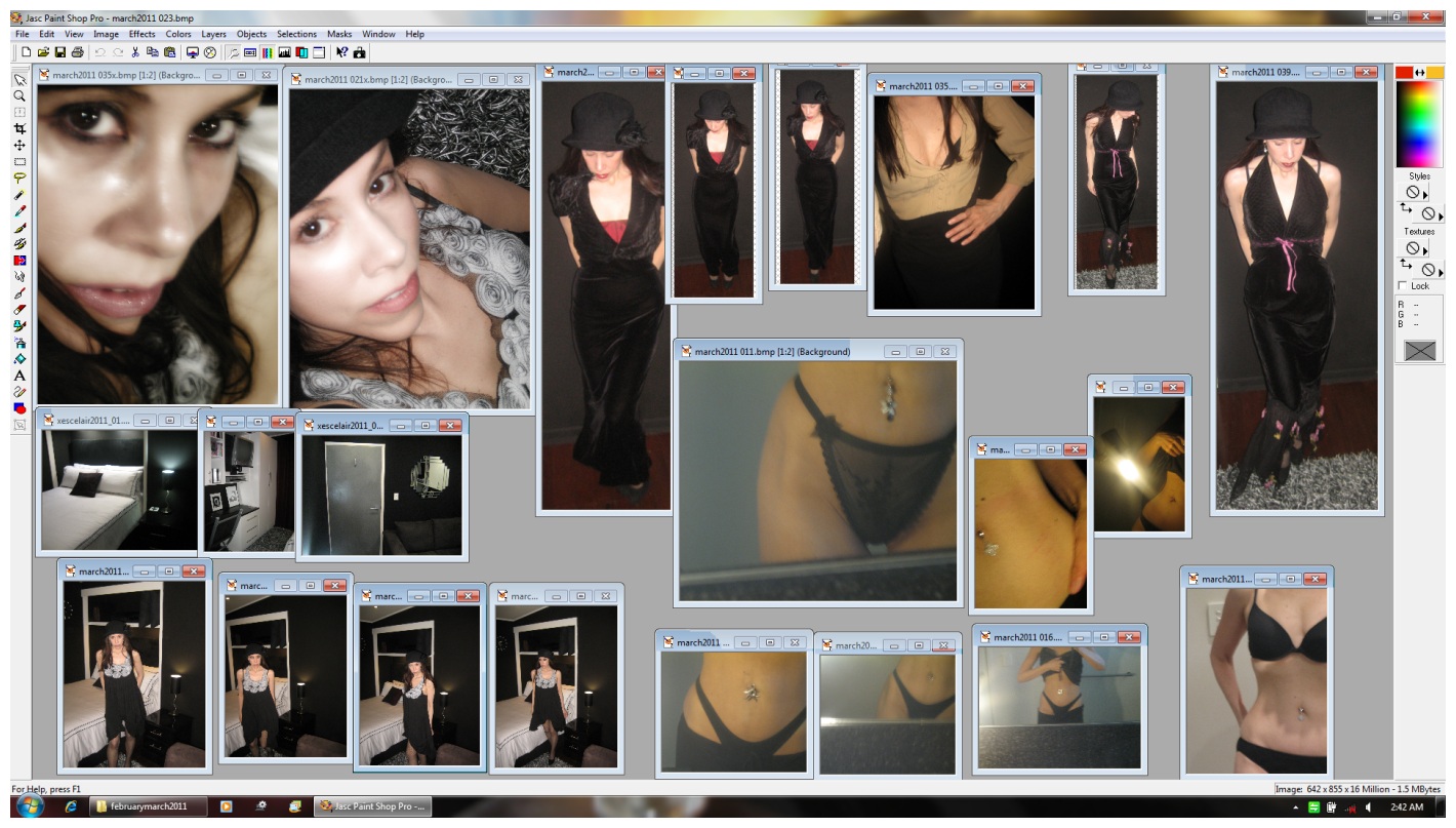 february/march 2011