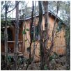 pademelon cottage