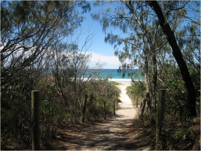 casuarina beach