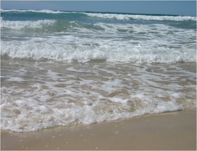 casuarina beach