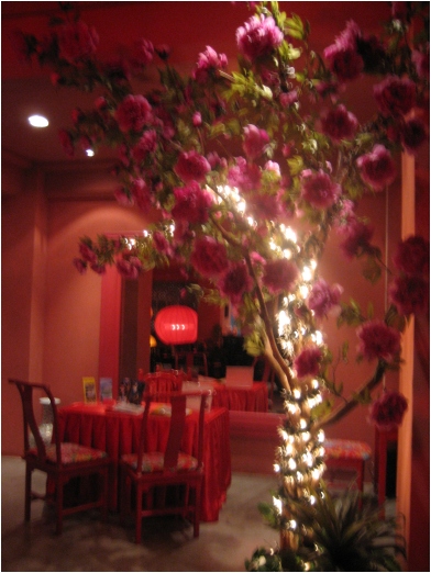 shanghai inn, bangkok