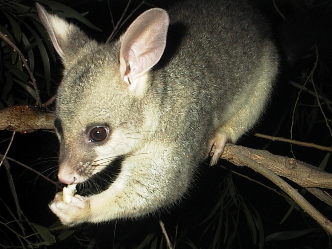 april 2005 - she visits at least once almost every night