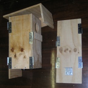removable nestbox - click to enlarge