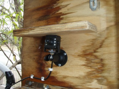nestbox camera - click to enlarge