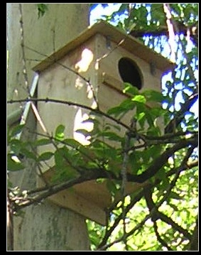 click to see more of the surroundings