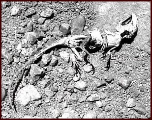 something that touched me when i
 saw it lying there.